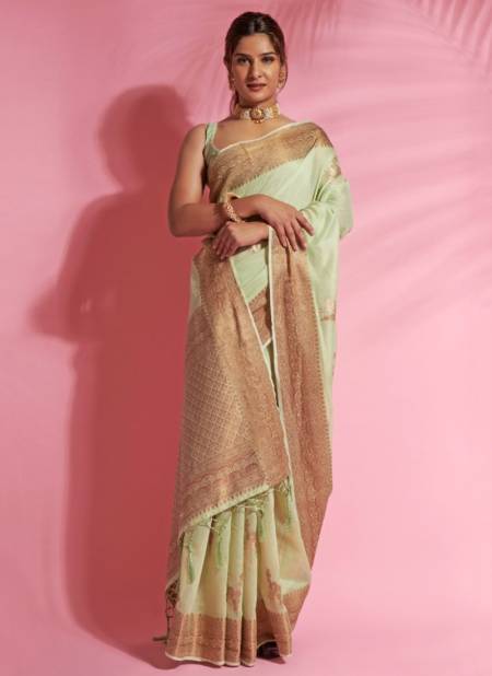 Green Colour Aarna Silk Rajyog New Latest Designer Ethnic Wear Cotton Saree Collection 7106